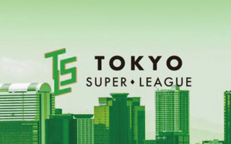 第2回 ＴＳＬ プレーオフ(セミファイナル敗者12チーム＆ワイルドカード抜け6チーム)